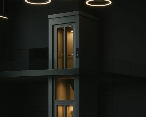 Book Trizo Z350 | Hydraulic Home Elevator | Contact Now